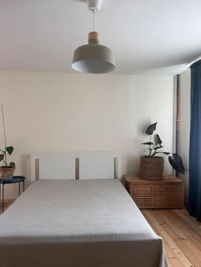 Baznicas street studio apartment, Liepāja